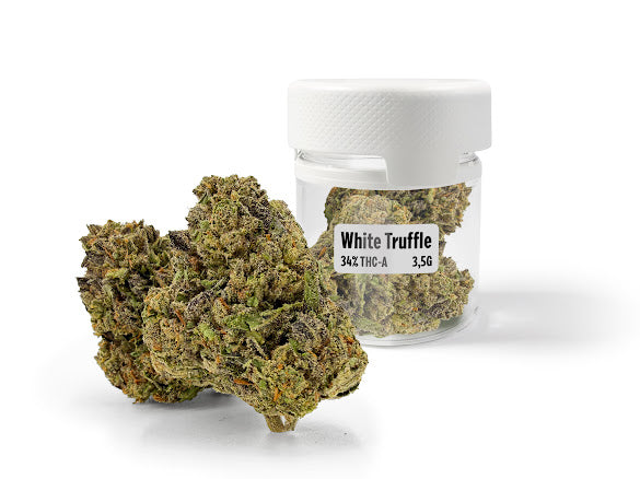 THC-A 34% Kwiat White Truffle