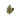 Close-up of Rollz California Love indoor THCA dried flower buds on a white background