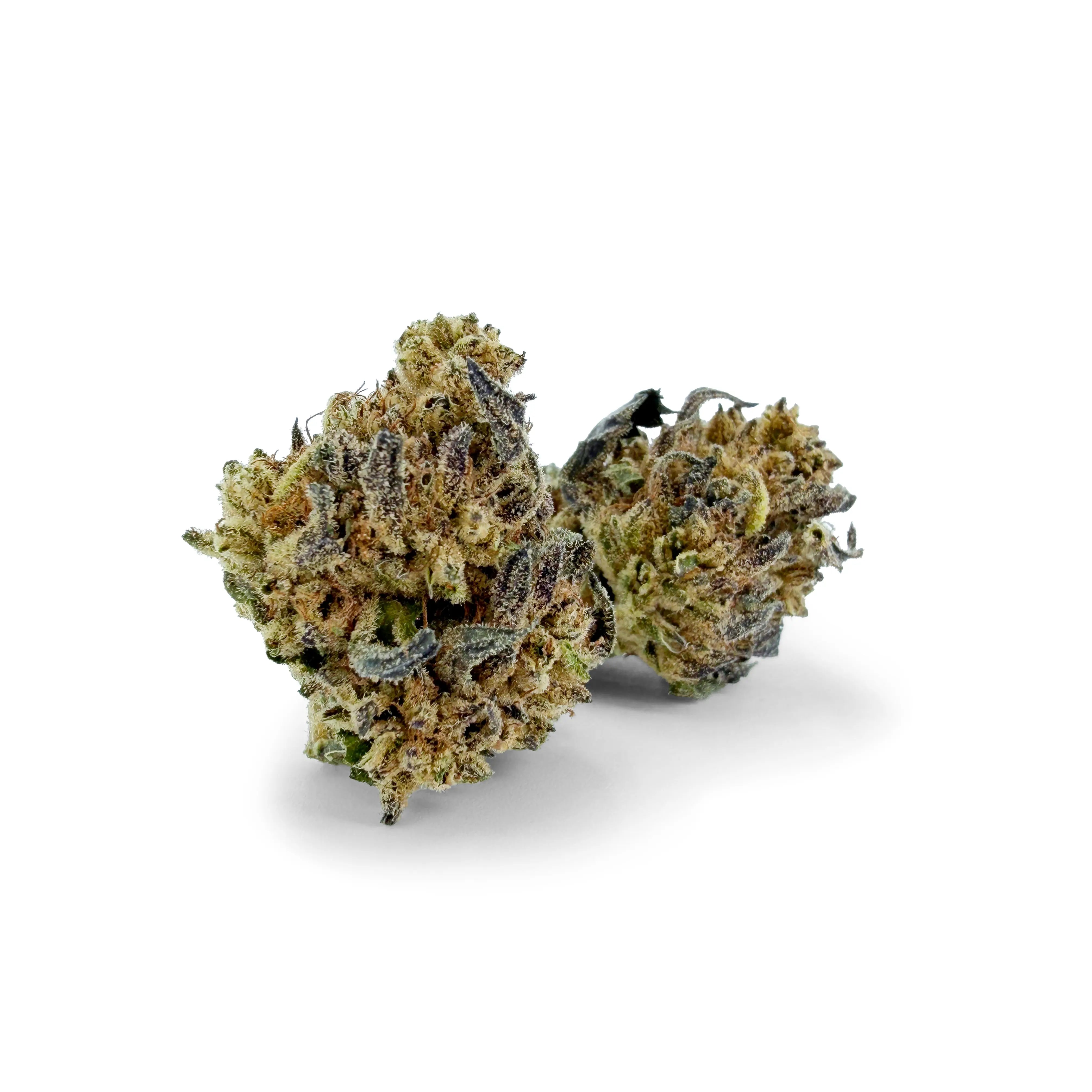 Close-up of Rollz California Love indoor THCA dried flower buds on a white background
