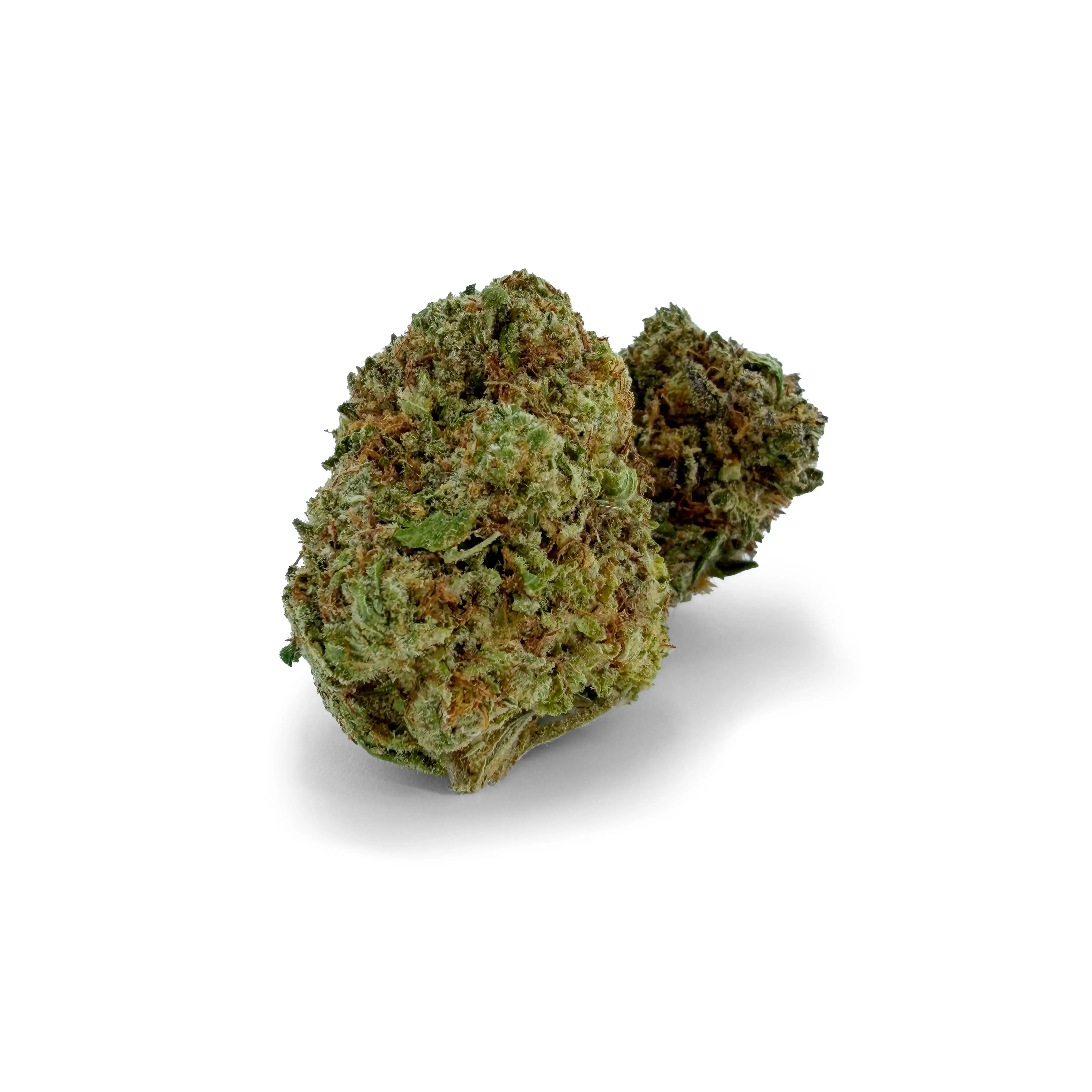 Close-up of Rollz Montgomery Benz indoor THCA dried cannabis flower buds on a white background