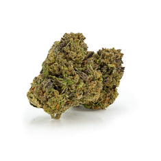 THC-A 34% Flower White Truffle