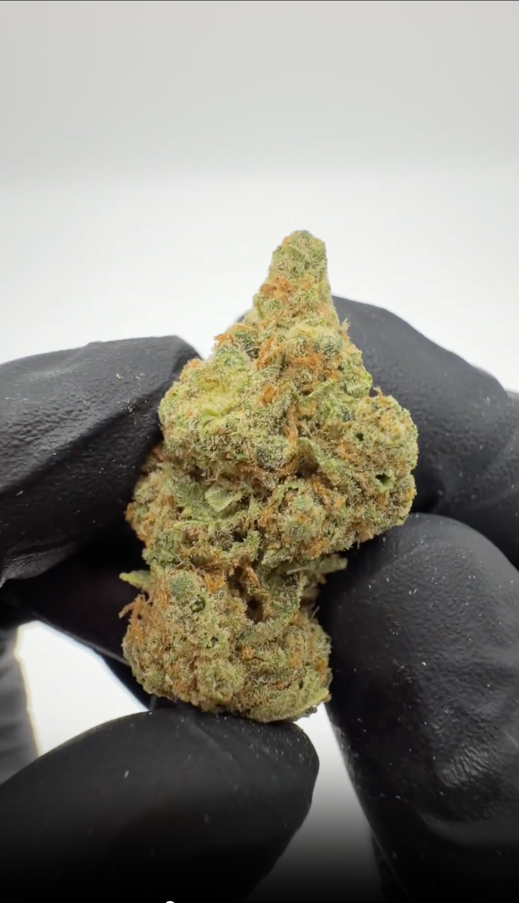 rollzeurope-amnesia-hydro-cbd-flowe-1080p