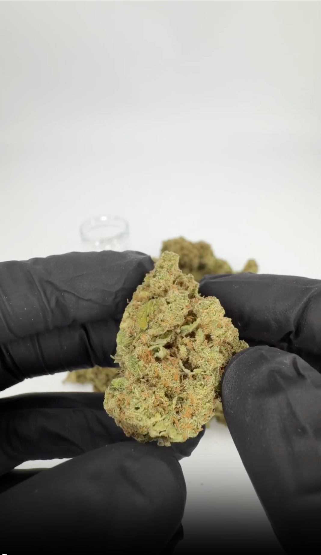 rollzeurope-candy-runtz-thca-flowe-1080p