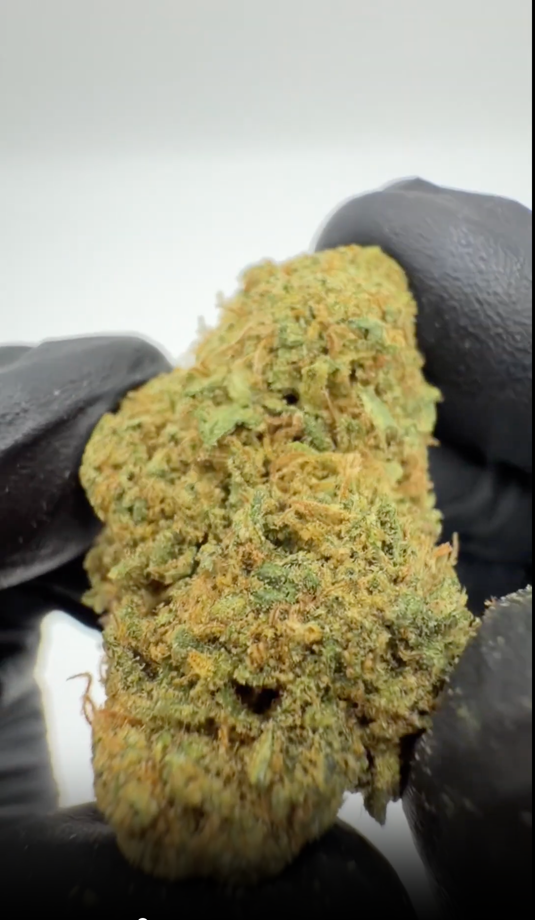 rollzeurope-gelonade-cbd-flowe-1080p