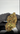 rollzeurope-montgomery-benz-thca-flowe-1080p