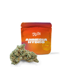 Rollz Amnesia Hydro CBD indoor dried flower orange doypack with premium buds displayed in front on a clean white background