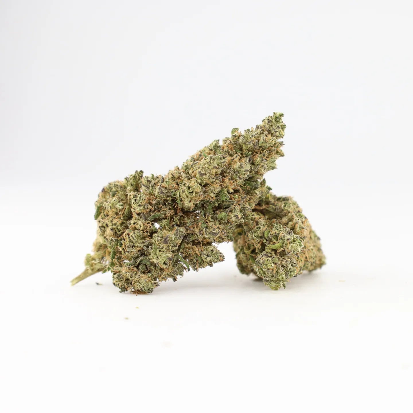 Northern Lights THCA indoor dried cannabis flower by Rollz – own cultivation and production.