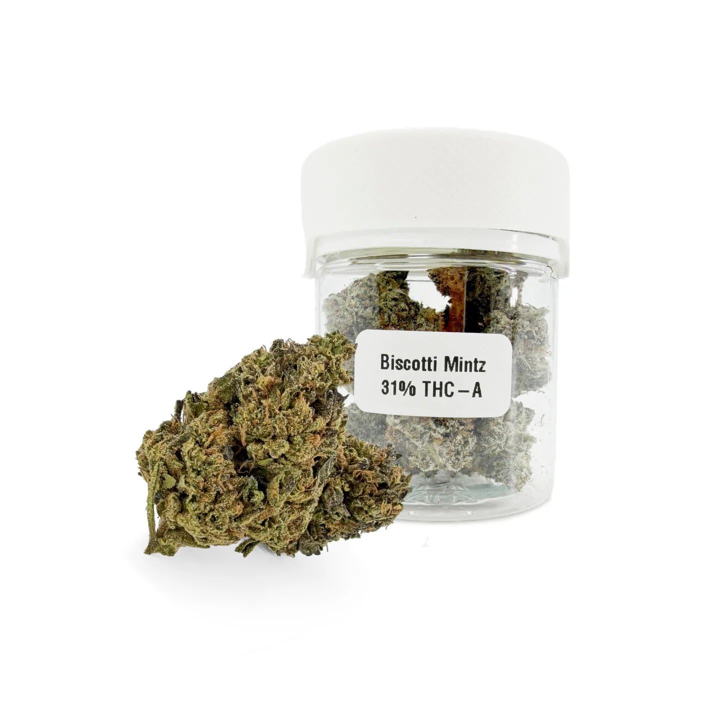 <tc>Biscotti Mintz 31% THCA</tc>