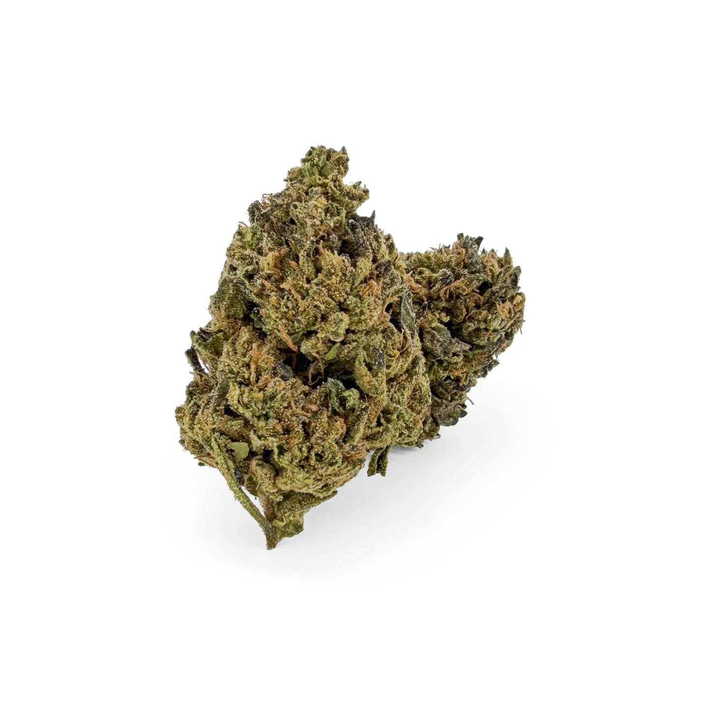 <tc>Biscotti Mintz 31% THCA</tc>