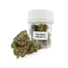 <tc>Gary Payton 31% THCA</tc>
