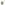 <tc>Gary Payton 31% THCA</tc>