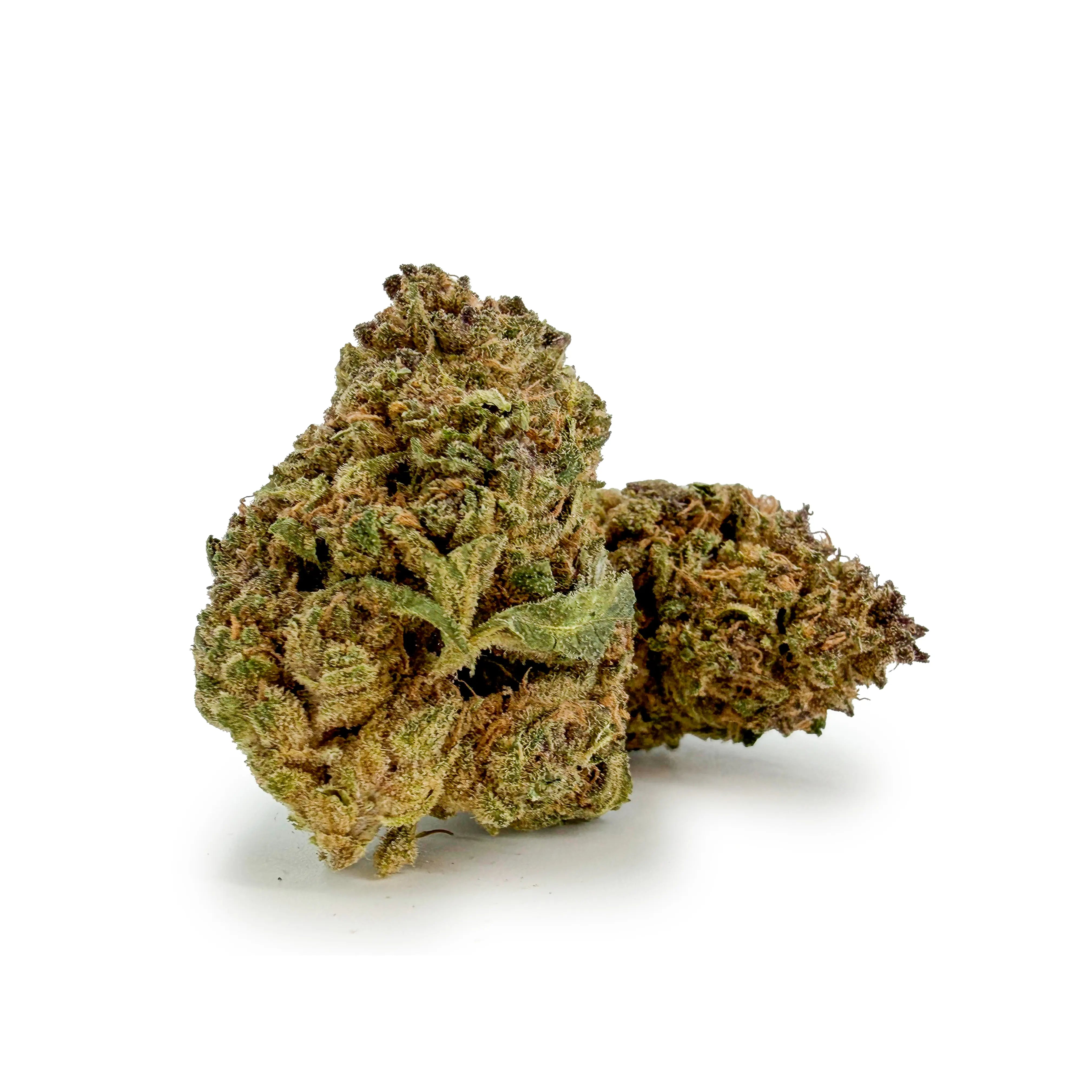 Close-up of Rollz Miracle Alien Cookies frosty cannabis on a white background.