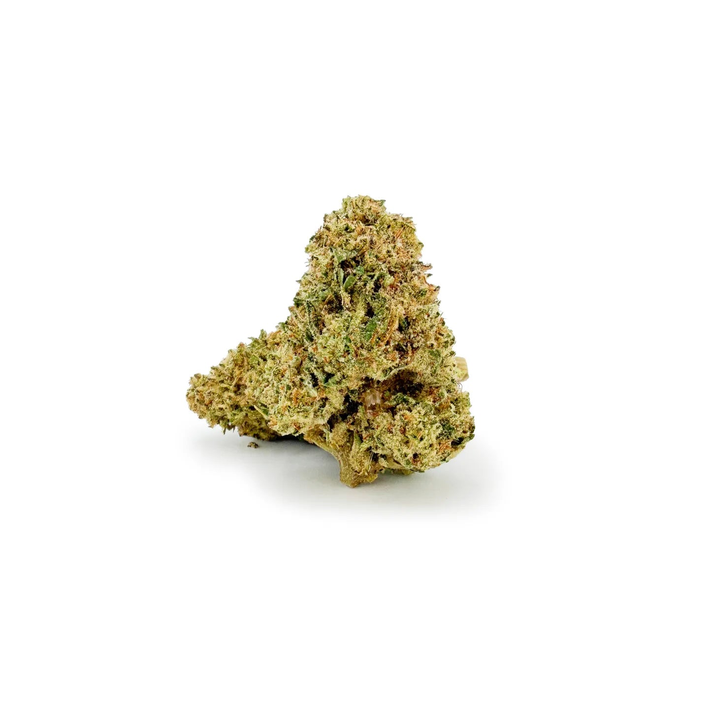 ROLLZ Do-Si-Dos x Gelato THCA flower 30% THC-A in 3.5g product jar