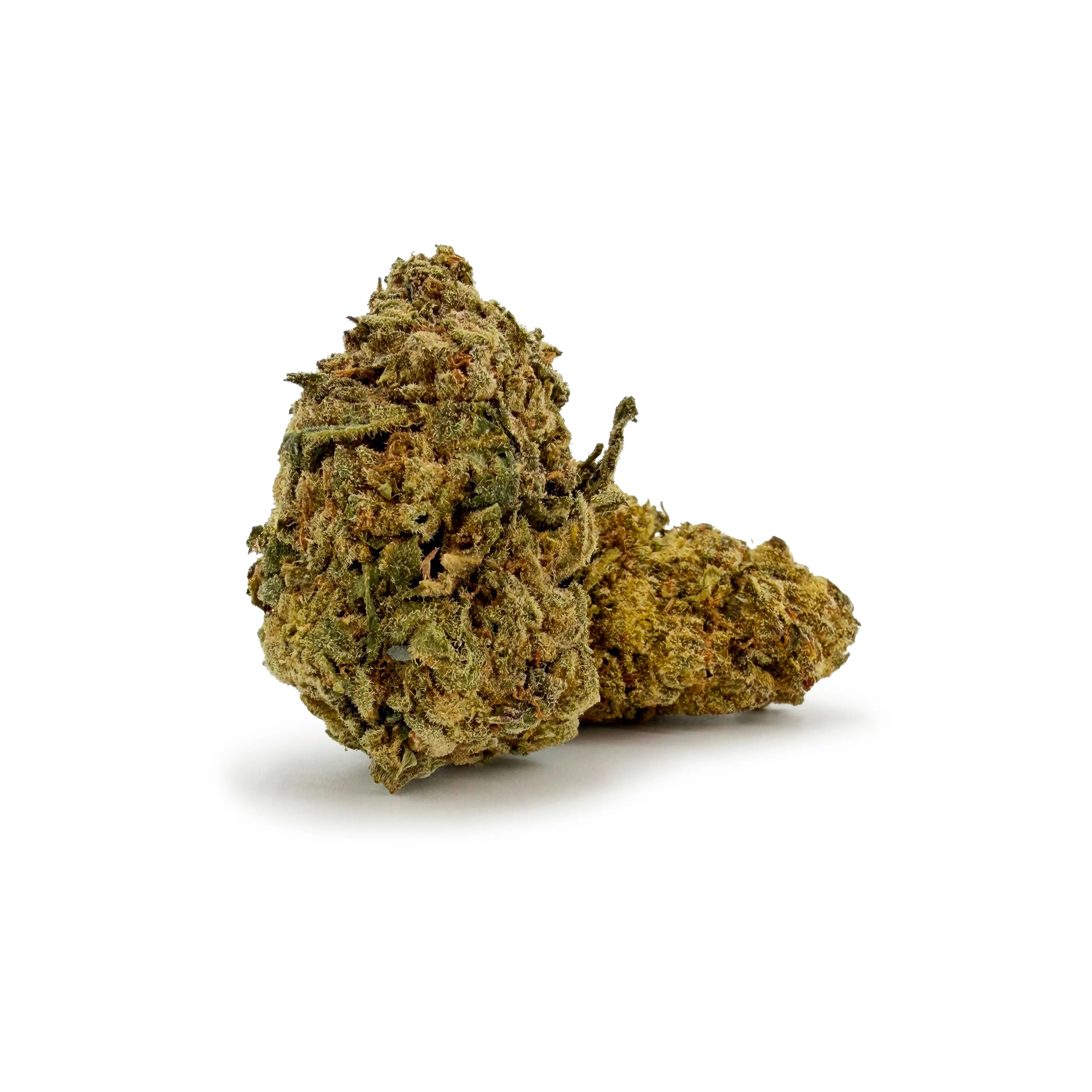Close-up of Rollz White Russian indoor THCA dried cannabis flower Glookies buds on a white background