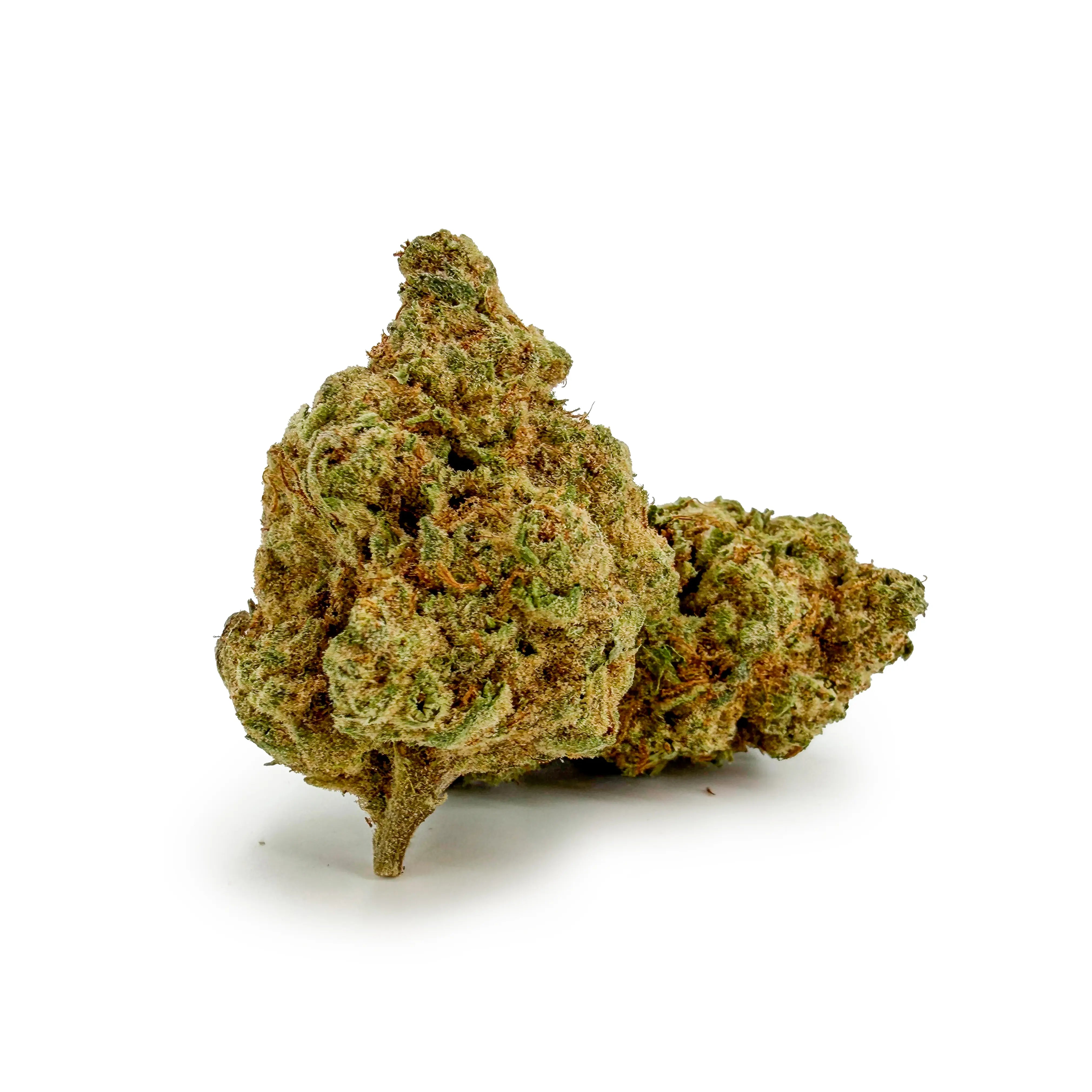 Close-up of ROLLZ Cartel-Cola THCA flower with frosty texture and orange pistils