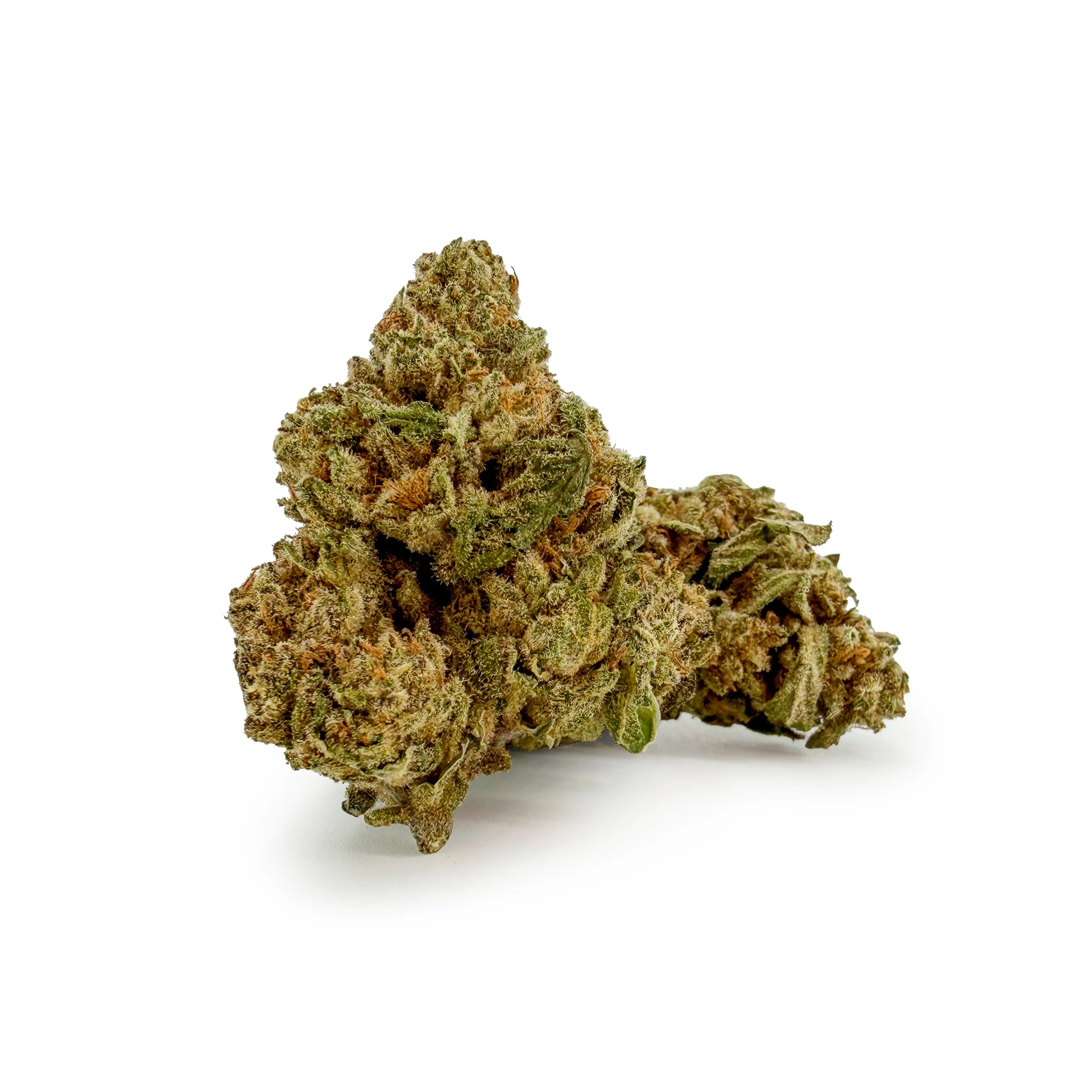 Close-up of ROLLZ Sniffers THCA flower with compact green bud and orange pistils